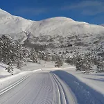 Stor Og Koselig I Stryn