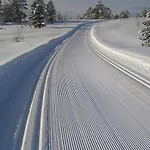 Stor Og Koselig I Dom wakacyjny Stryn