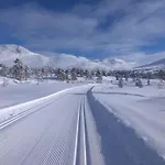 Stor Og Koselig I Stryn