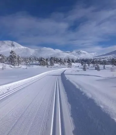 Stor Og Koselig I Стрюн